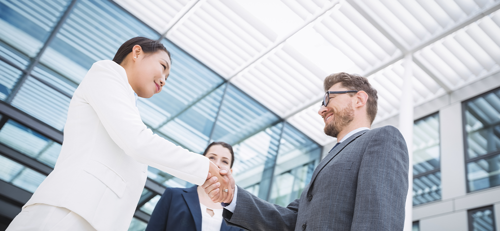 海外ペットコンサルティング